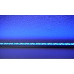 LED Balk 0.5 Meter Blauw 3528 Waterdicht IP65 12 Volt 